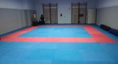 Utenos Krašuonos progimnazijos karate salė